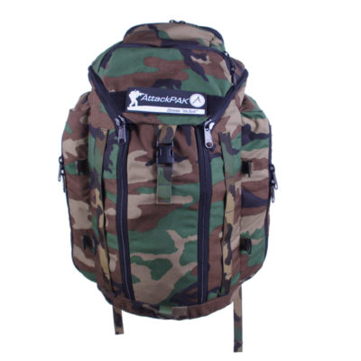 Modular backpack