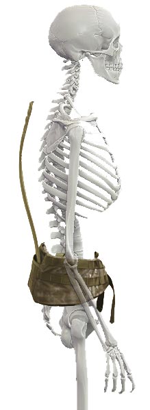 ILCS Skeleton